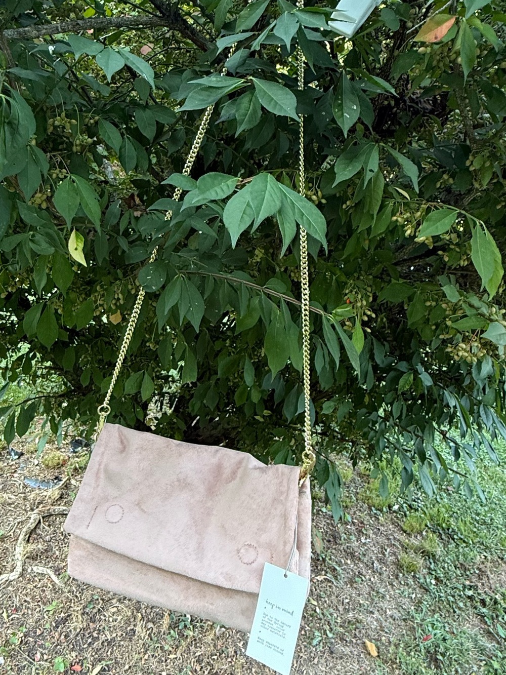 a new day Blush Suede Crossbody with Gold Chain